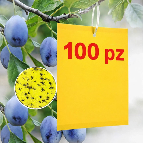 100 pezzi trappole - 100,