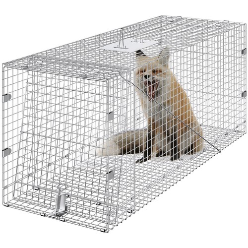 Trappola per animali - animali, vivi