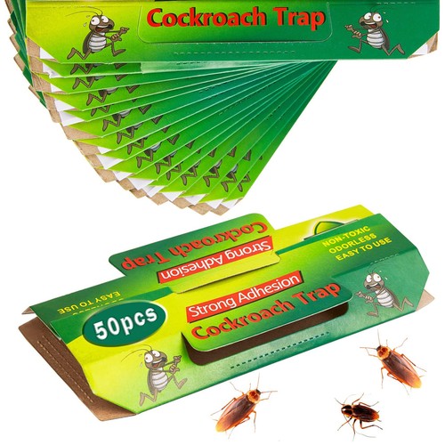 Pezzi trappole scarafaggi e - pezzi,