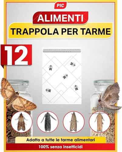 Trappole farfalline 12 - farfalline,