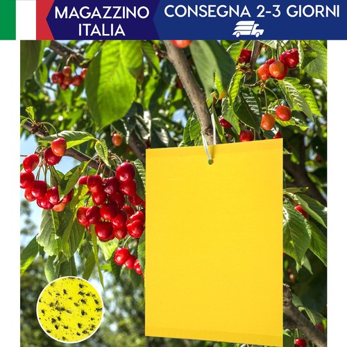 100 pezzi trappole - pezzi,
