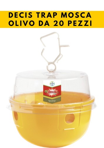 Decis trap olivo - 20, trappole